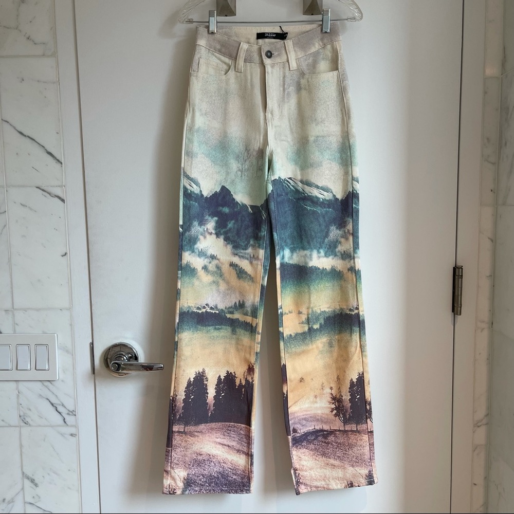 NWT JADED LONDON landscape jeans Sz 24